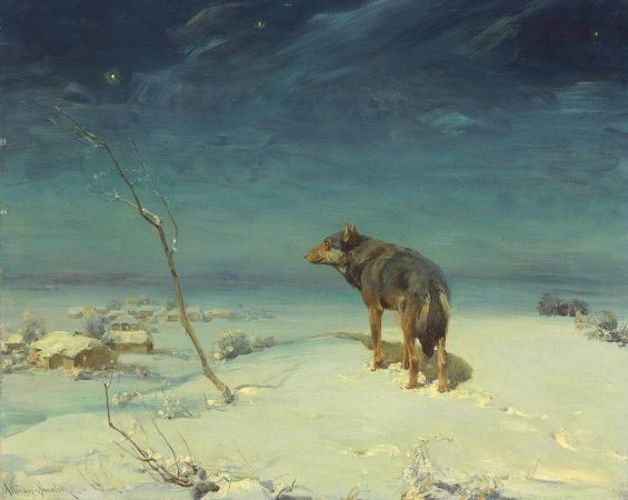Le loup solitaire
