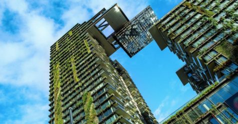 La biodiversité en ville en 6 questions