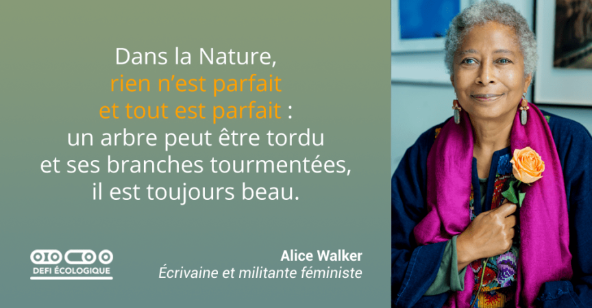 Citation De Alice Walker A Propos De L Ecologie Defi Ecologique Le Blog